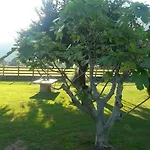 Giardino Ulivo فيلة