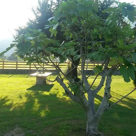 Giardino Ulivo فيلة