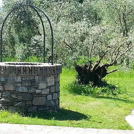 Giardino Ulivo Вилла Граведона